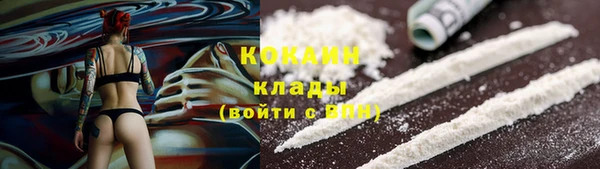бошки Гусев