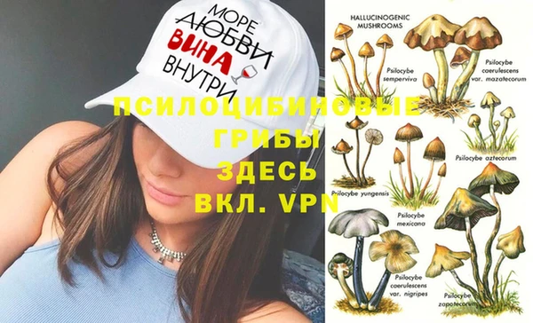 альфа пвп VHQ Гусиноозёрск