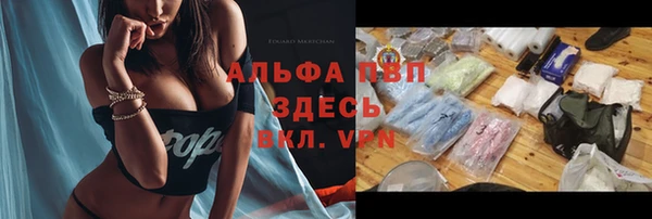 бошки Гусев