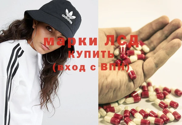 бошки Гусев