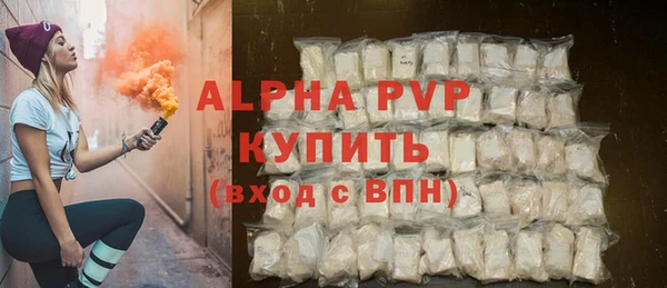 бошки Гусев