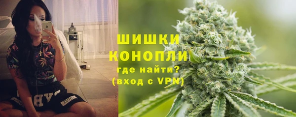 бошки Гусев